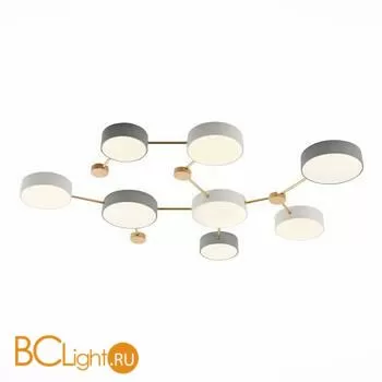 Потолочный светильник Evoluce Dossena SLE600102-08 - Фото 0