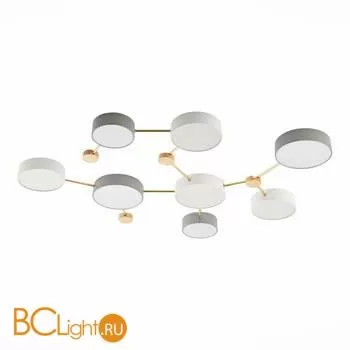 Потолочный светильник Evoluce Dossena SLE600102-08 - Фото 1