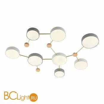 Потолочный светильник Evoluce Dossena SLE600102-08 - Фото 2