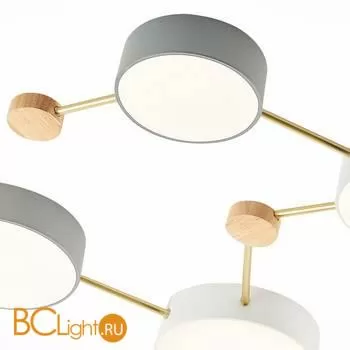 Потолочный светильник Evoluce Dossena SLE600102-08 - Фото 3