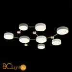 Потолочный светильник Evoluce Dossena SLE600102-08