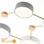 Потолочный светильник Evoluce Dossena SLE600102-08 - Фото 3