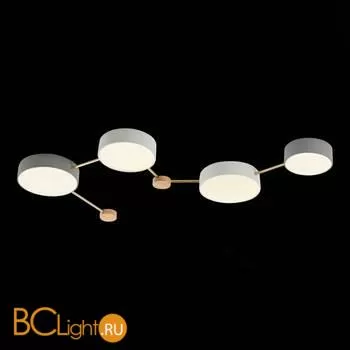 Потолочный светильник Evoluce Dossena SLE600102-04 - Фото 3