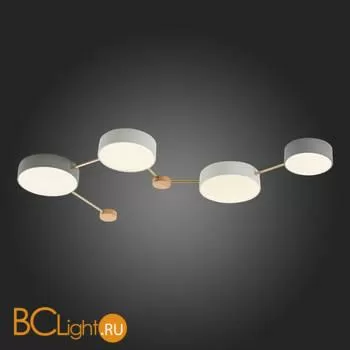 Потолочный светильник Evoluce Dossena SLE600102-04