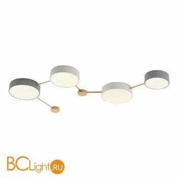 Потолочный светильник Evoluce Dossena SLE600102-04 - Фото 0