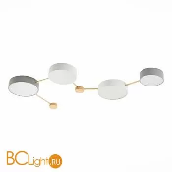 Потолочный светильник Evoluce Dossena SLE600102-04 - Фото 1