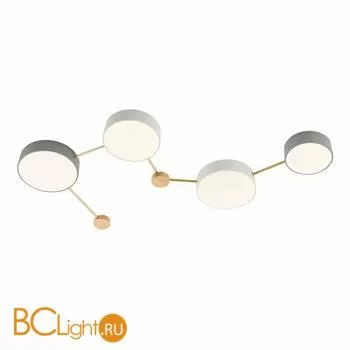 Потолочный светильник Evoluce Dossena SLE600102-04 - Фото 2