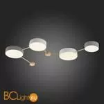 Потолочный светильник Evoluce Dossena SLE600102-04