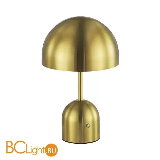 Настольная лампа Evoluce Eclat SLE1806-204-01