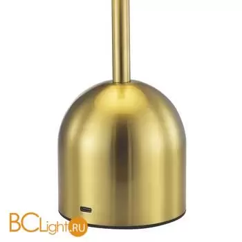 Настольная лампа Evoluce Eclat SLE1806-204-01 - Фото 2