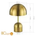 Настольная лампа Evoluce Eclat SLE1806-204-01 - Фото 3