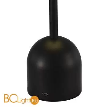 Настольная лампа Evoluce Eclat SLE1806-404-01 - Фото 2