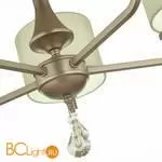 Люстра Evoluce Elida SLE107703-05 - Фото 2