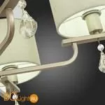 Люстра Evoluce Elida SLE107703-05 - Фото 10