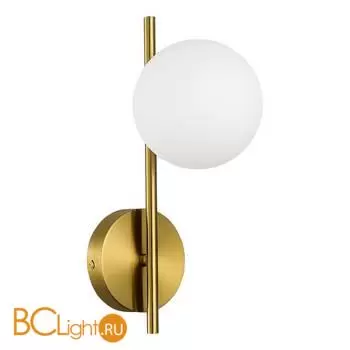 Настенный светильник Evoluce ENKEL SLE1193-301-01