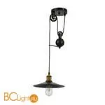 Подвесной светильник Evoluce Esperazza SLE120503-01 - Фото 1