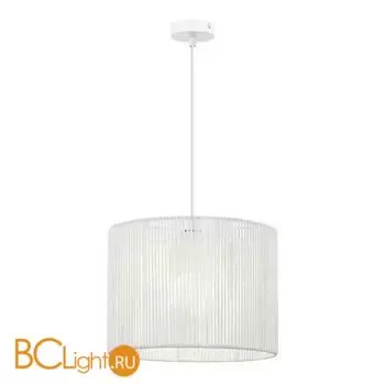 Подвесной светильник Evoluce ETTAN SLE6024-503-01 - Фото 0