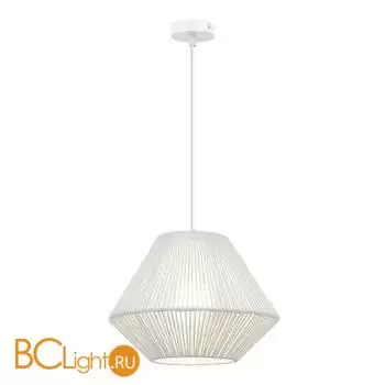 Подвесной светильник Evoluce ETTAN SLE6025-503-01 - Фото 0