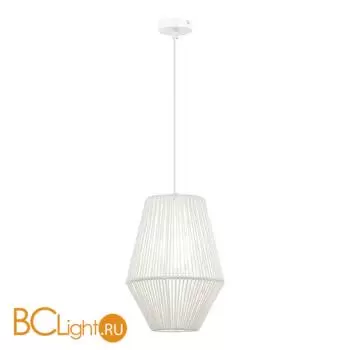 Подвесной светильник Evoluce ETTAN SLE6025-513-01 - Фото 0