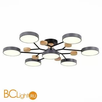 Люстра Evoluce Faema SLE6006-702-07