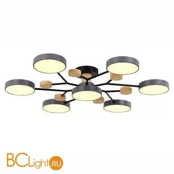 Люстра Evoluce Faema SLE6006-702-07 - Фото 1