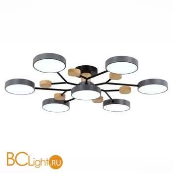 Люстра Evoluce Faema SLE6006-702-07 - Фото 2