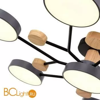 Люстра Evoluce Faema SLE6006-702-07 - Фото 3