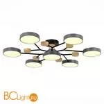 Люстра Evoluce Faema SLE6006-702-07 - Фото 1