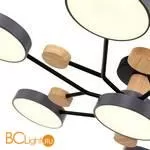 Люстра Evoluce Faema SLE6006-702-07 - Фото 3