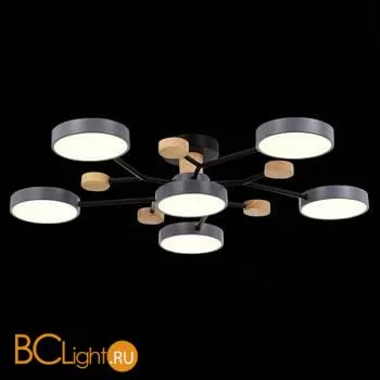 Люстра Evoluce Faema SLE6006-702-06 - Фото 4