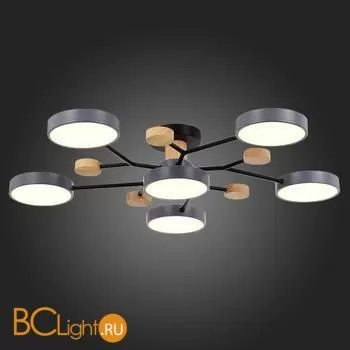 Люстра Evoluce Faema SLE6006-702-06 - Фото 5