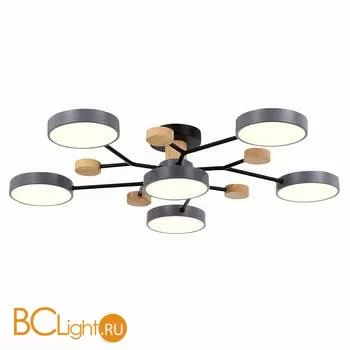 Люстра Evoluce Faema SLE6006-702-06