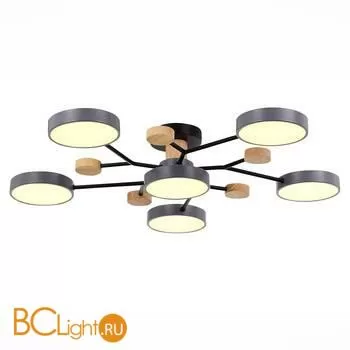 Люстра Evoluce Faema SLE6006-702-06 - Фото 1