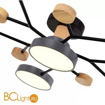 Люстра Evoluce Faema SLE6006-702-06 - Фото 3