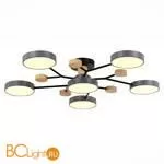 Люстра Evoluce Faema SLE6006-702-06 - Фото 1