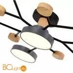 Люстра Evoluce Faema SLE6006-702-06 - Фото 3