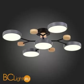 Люстра Evoluce Faema SLE6006-702-05 - Фото 5