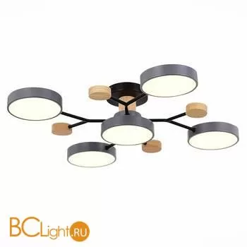 Люстра Evoluce Faema SLE6006-702-05