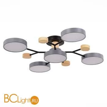 Люстра Evoluce Faema SLE6006-702-05 - Фото 0