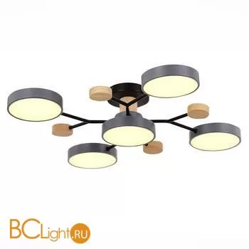 Люстра Evoluce Faema SLE6006-702-05 - Фото 1