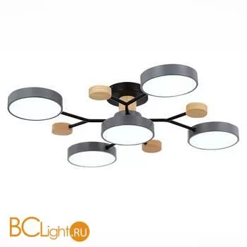 Люстра Evoluce Faema SLE6006-702-05 - Фото 2