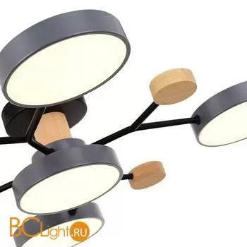 Люстра Evoluce Faema SLE6006-702-05 - Фото 3