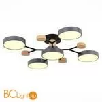 Люстра Evoluce Faema SLE6006-702-05 - Фото 1