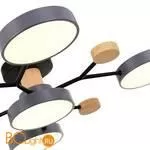 Люстра Evoluce Faema SLE6006-702-05 - Фото 3