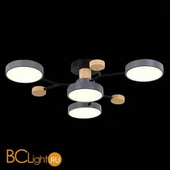 Люстра Evoluce Faema SLE6006-702-04 - Фото 4