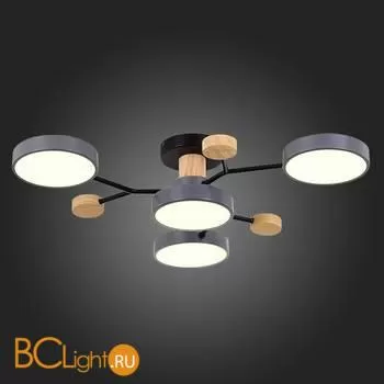 Люстра Evoluce Faema SLE6006-702-04 - Фото 5