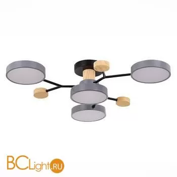 Люстра Evoluce Faema SLE6006-702-04 - Фото 0