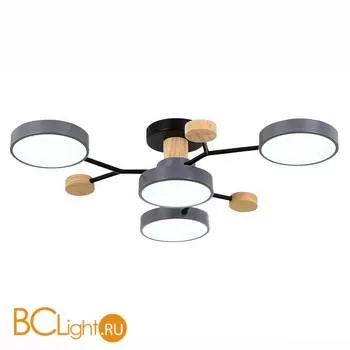 Люстра Evoluce Faema SLE6006-702-04 - Фото 2