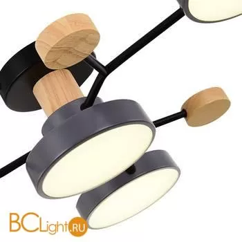 Люстра Evoluce Faema SLE6006-702-04 - Фото 3