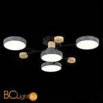 Люстра Evoluce Faema SLE6006-702-04 - Фото 4